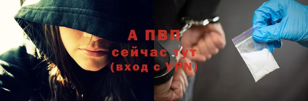 прущие крисы Зеленокумск