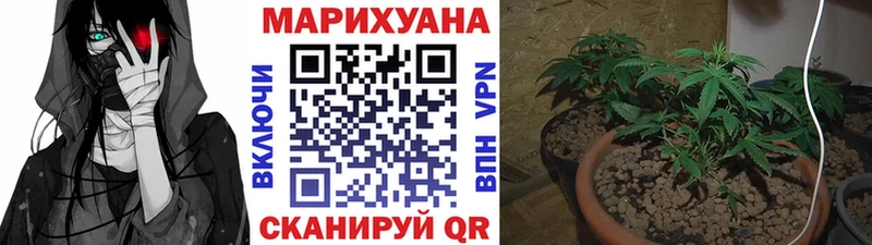 МАРИХУАНА ГИДРОПОН  хочу наркоту  Светогорск 